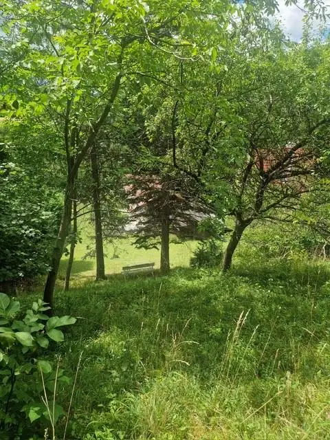 Ihre Liegenschaft mit soviel Wald! Errichten Sie hier Ihr Traumhaus!