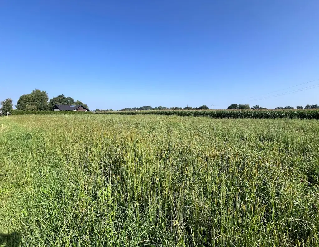 Ebener Baugrund in sonniger Ortsrandlage
