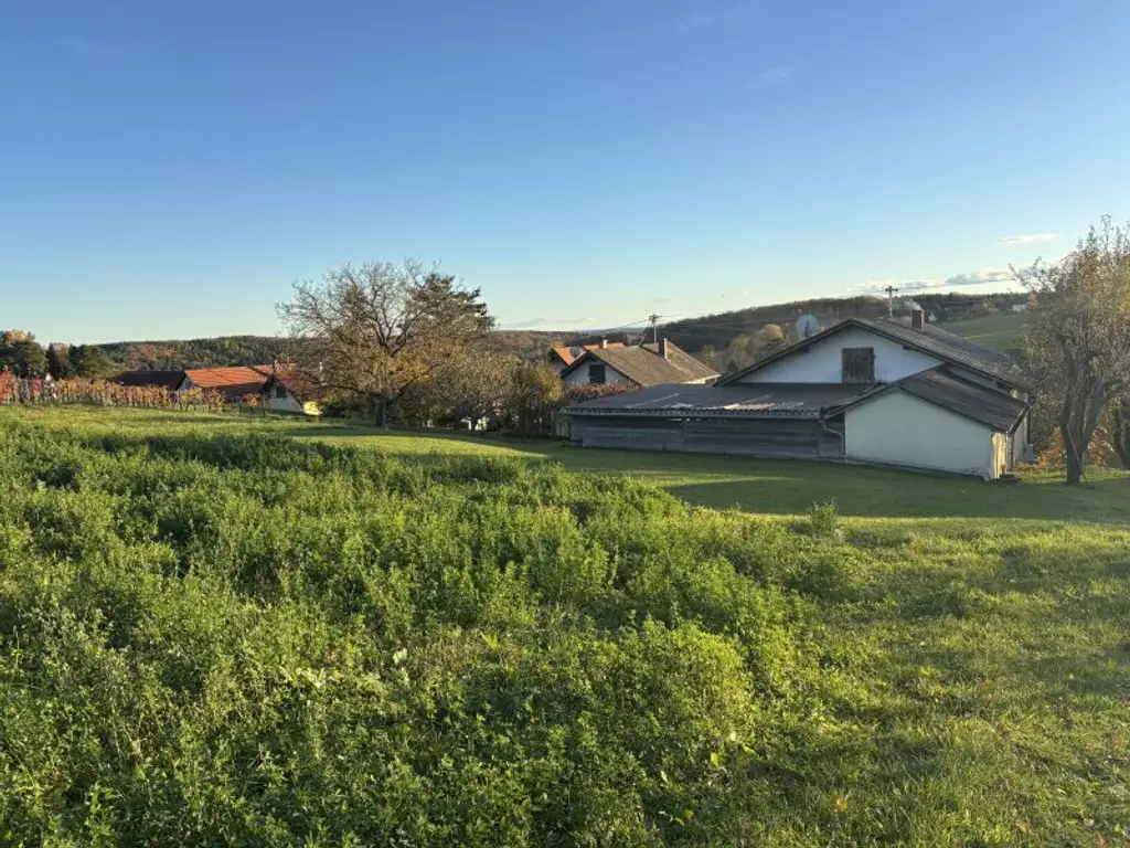 ** LEGENDE IN DER WEINIDYLLE ** D. Ehrensdorf !! Gepflegtes Haus mit ca. 245 m2 Nfl. in gediegener Ortsrandlage - Hauptwohnsitz möglich !!