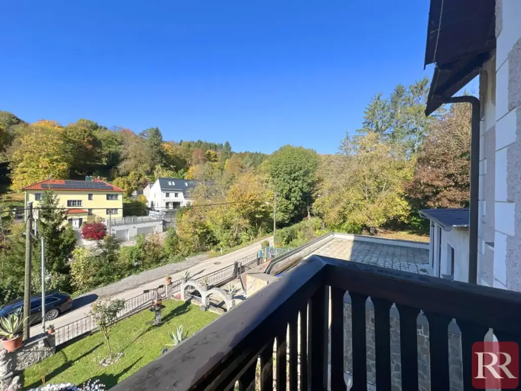 Jahrhundertwendehaus mit großem Grundstück