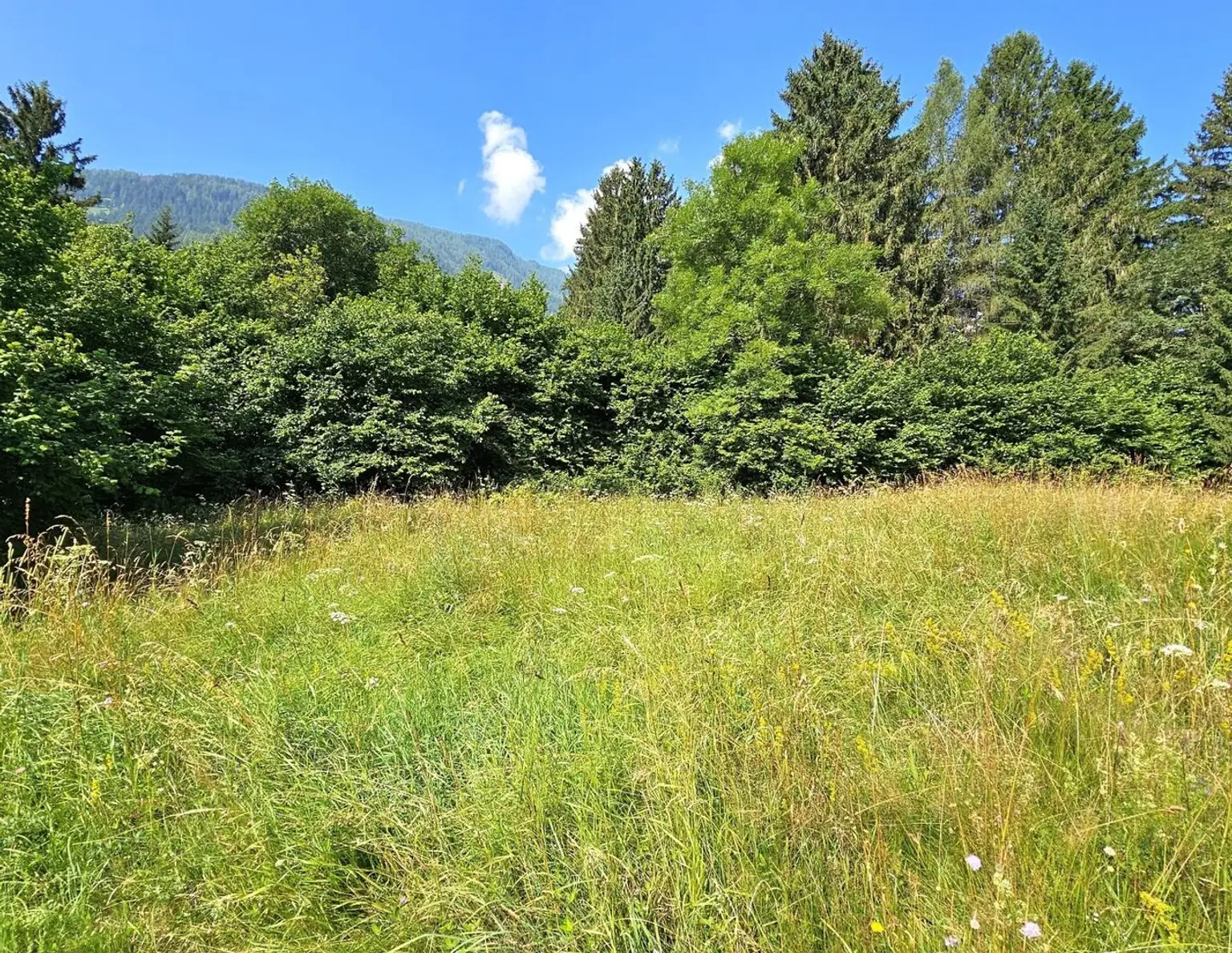 1 Grundstück - Ihr neues Zuhause in einer malerischen Lage in Penk. Ideal auch für Tierhaltung/Landwirtschaft.