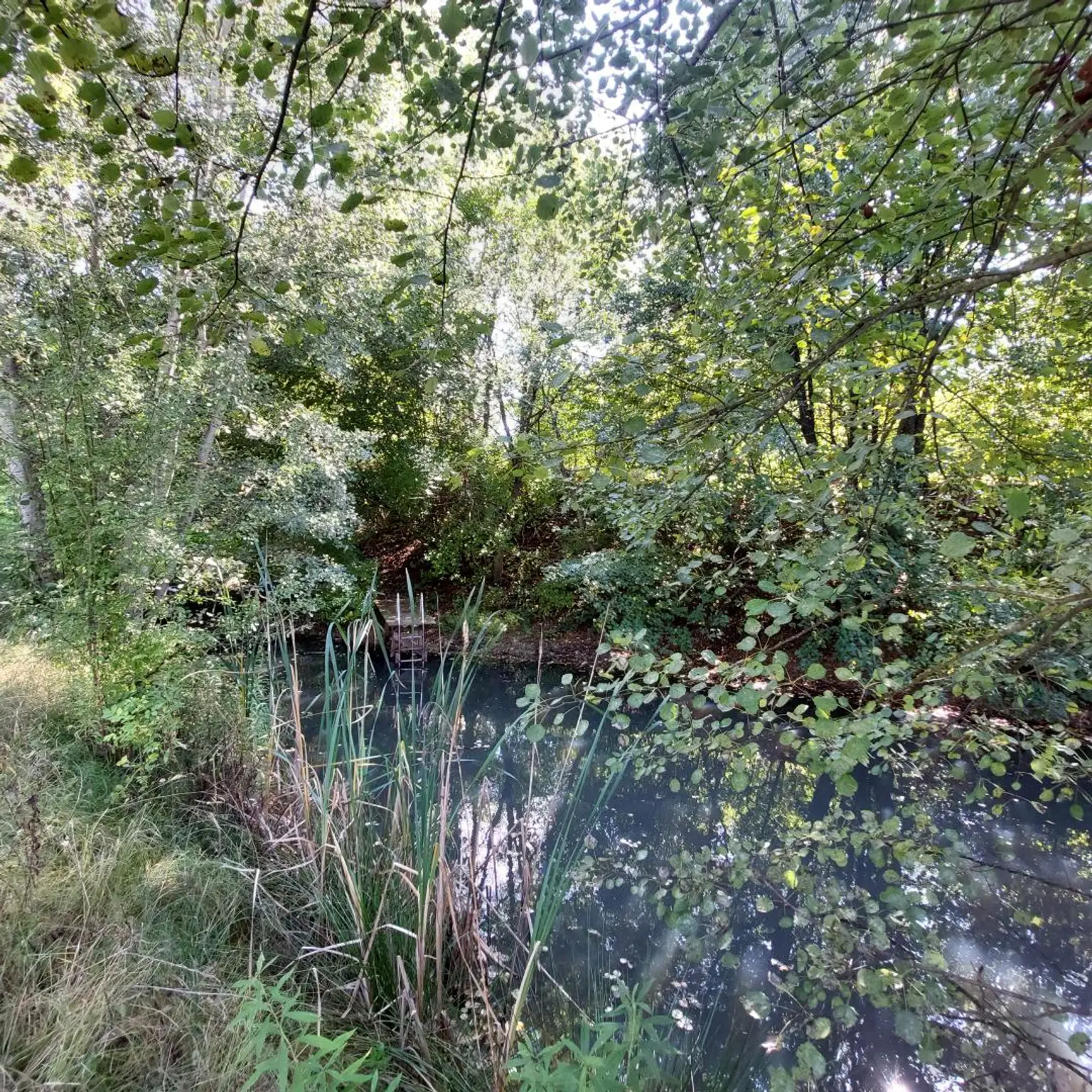 Barrierefreies Niedrigenergiehaus auf über 2 ha Grund