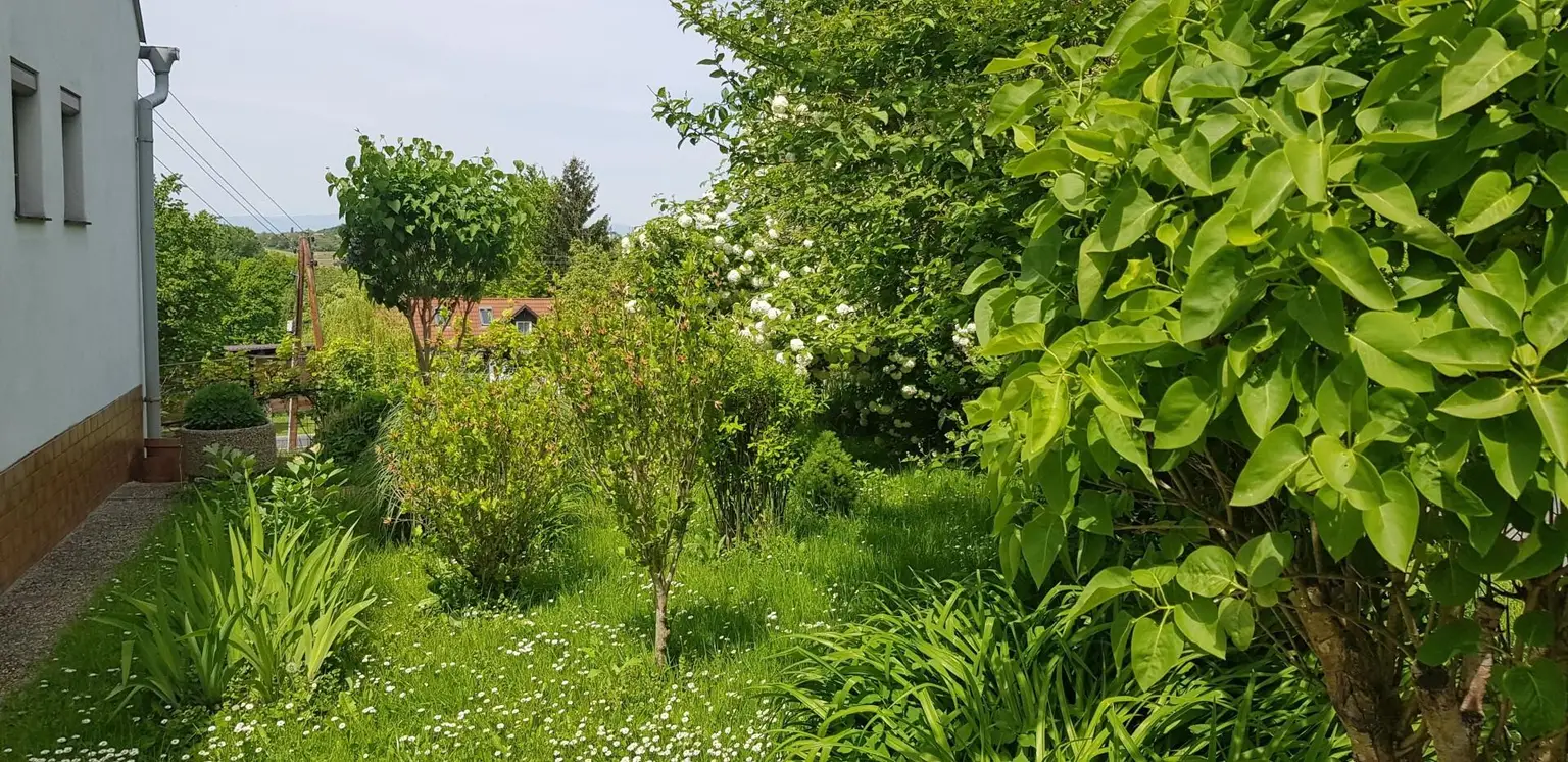 vorderer Garten