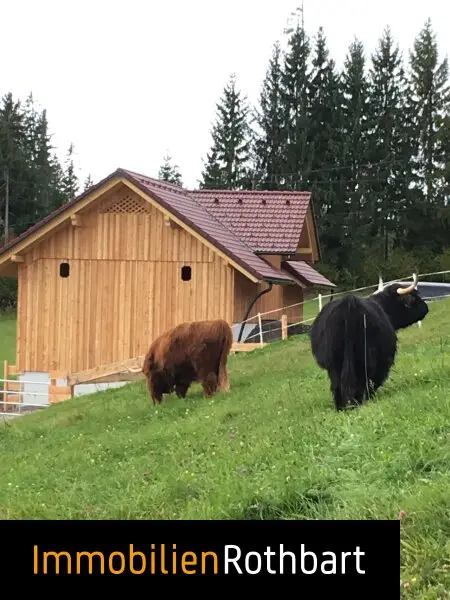 Neuwertiger Bauernhof in sonniger Lage