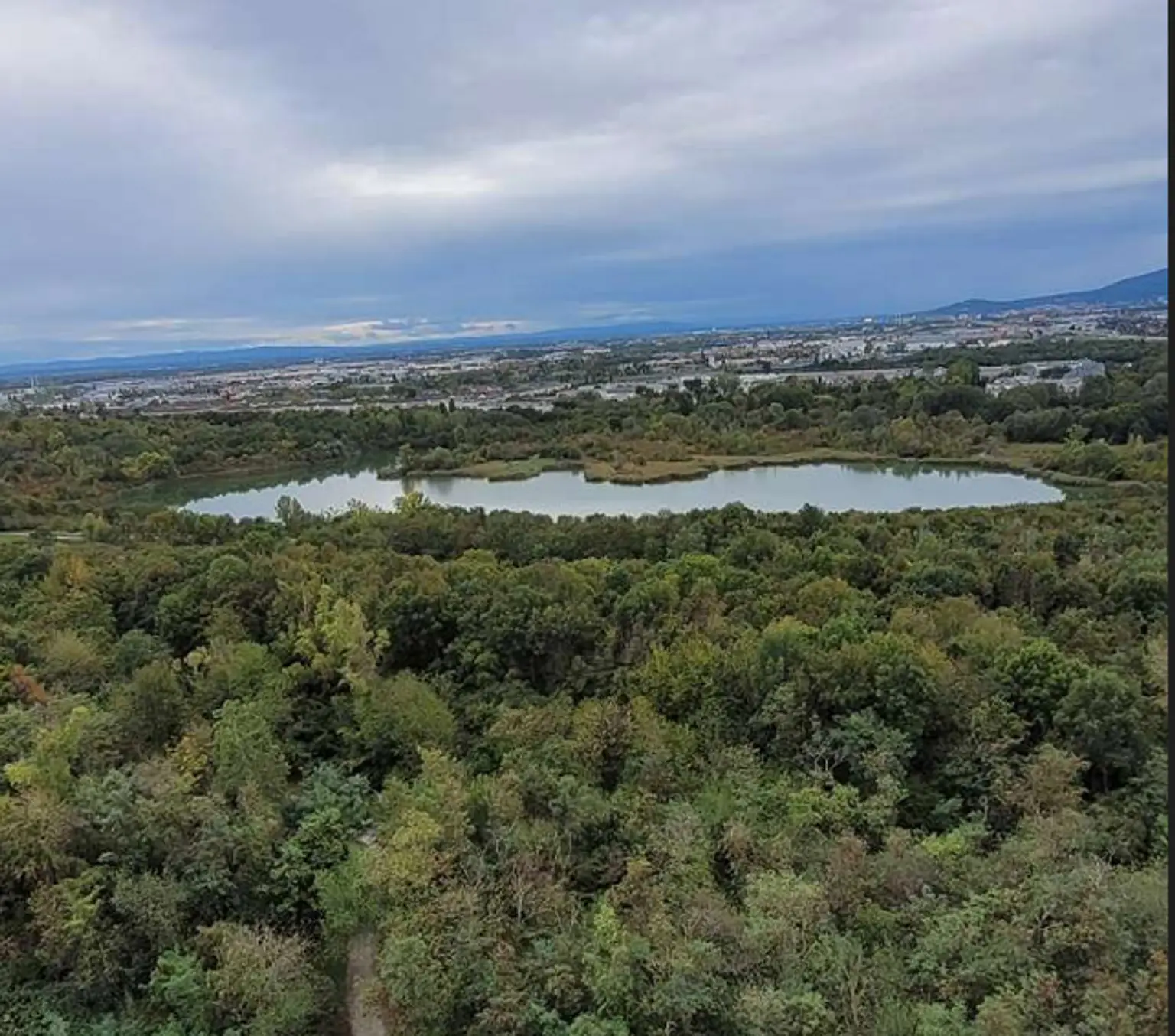 19. Eigentumswohnung 1100 Wien