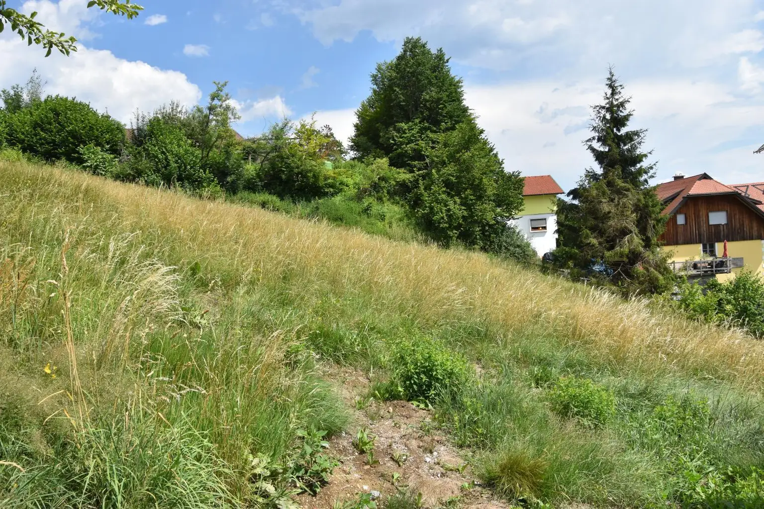 südöstliche Nachbarn