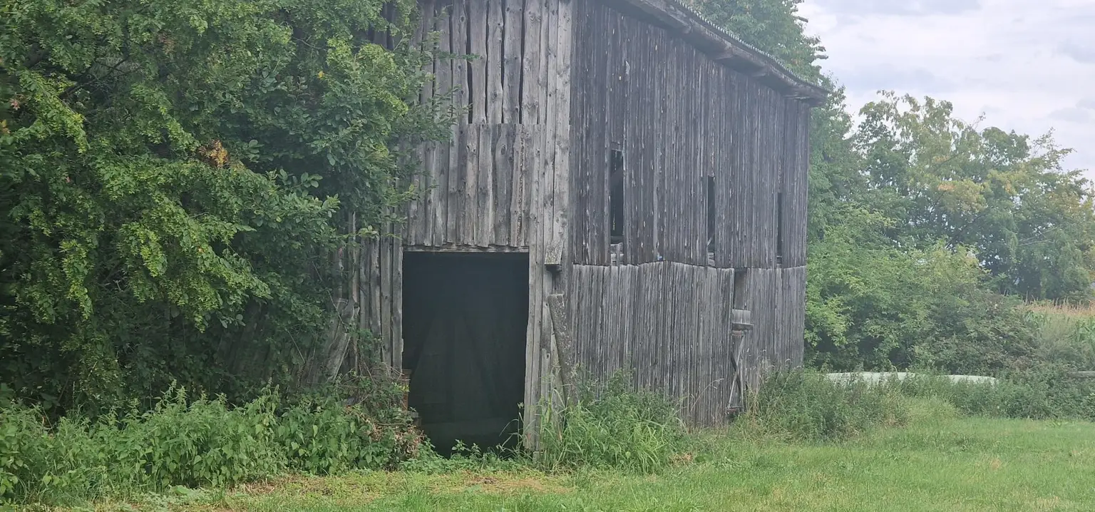 Hütte vorne