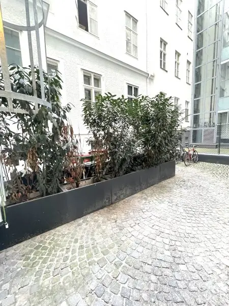 Top sanierter Stilaltbau - 2 Zimmer Wohnung