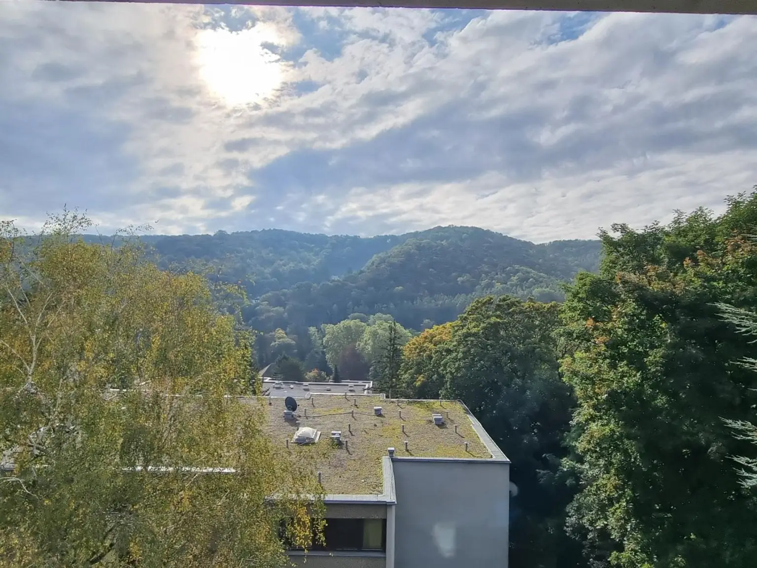 SEHR GEPFLEGTE 3-ZIMMERWOHNUNG MIT GRÜNBLICK