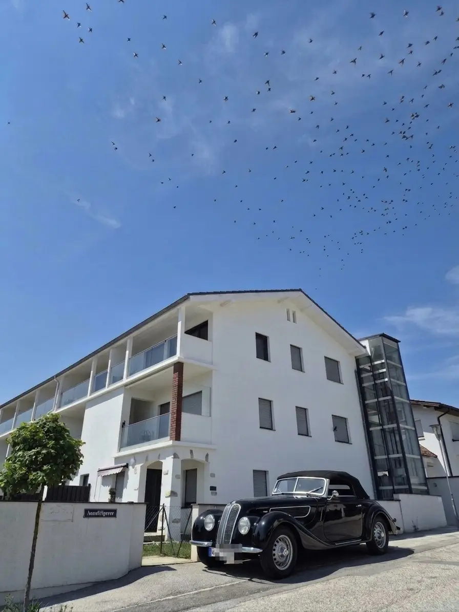 Attraktives Investment - 41 m² Wohnung mit Balkon mit Blick zum Neusiedler See – entspanntes Wohnen im Grünen und die Vorzüge einer lebendigen Region mit hohem Freizeitwert