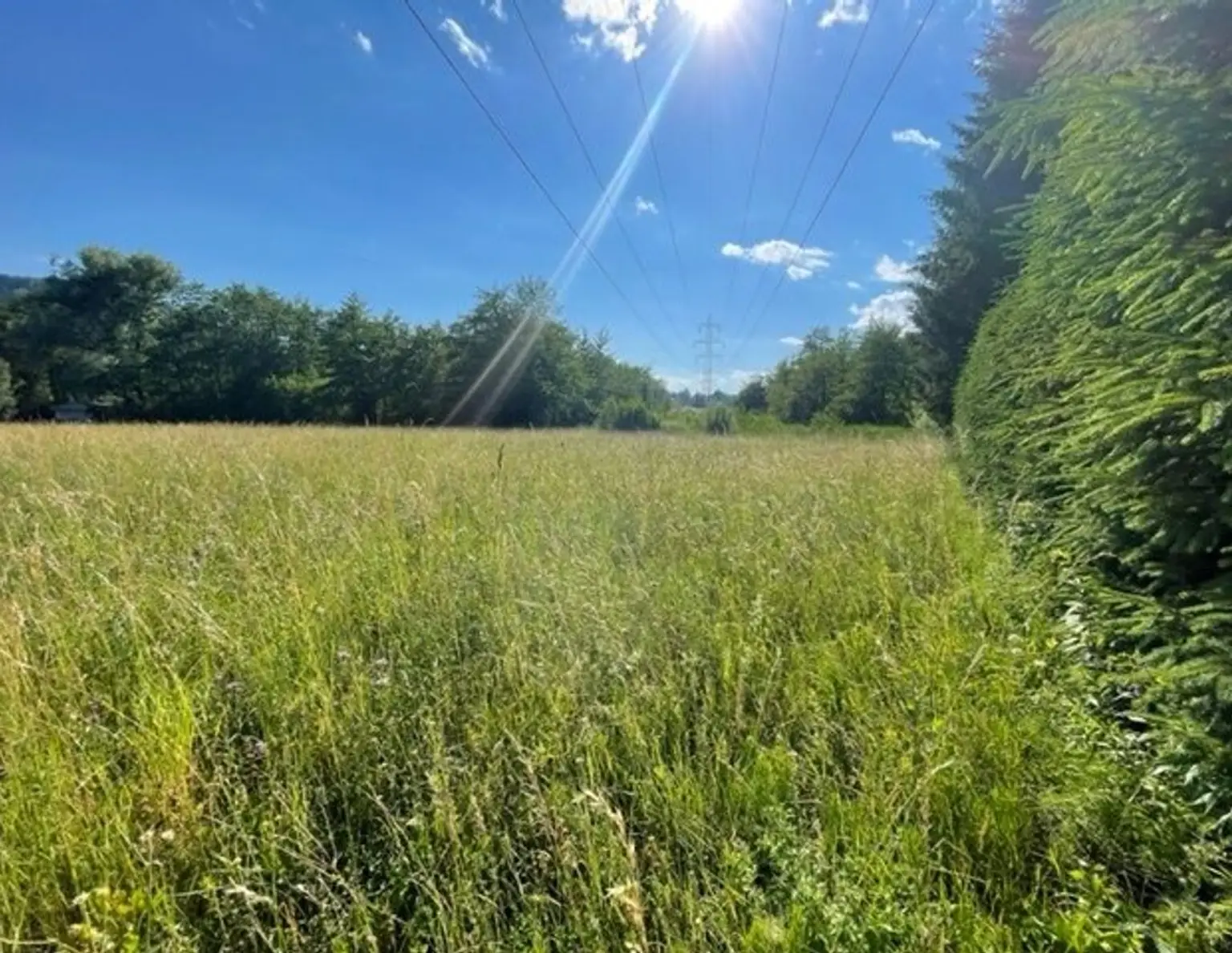 Schöne landwirtschaftliche Flächen mit 3.208m² - Nähe Hafnersee - Kein Baugrund!