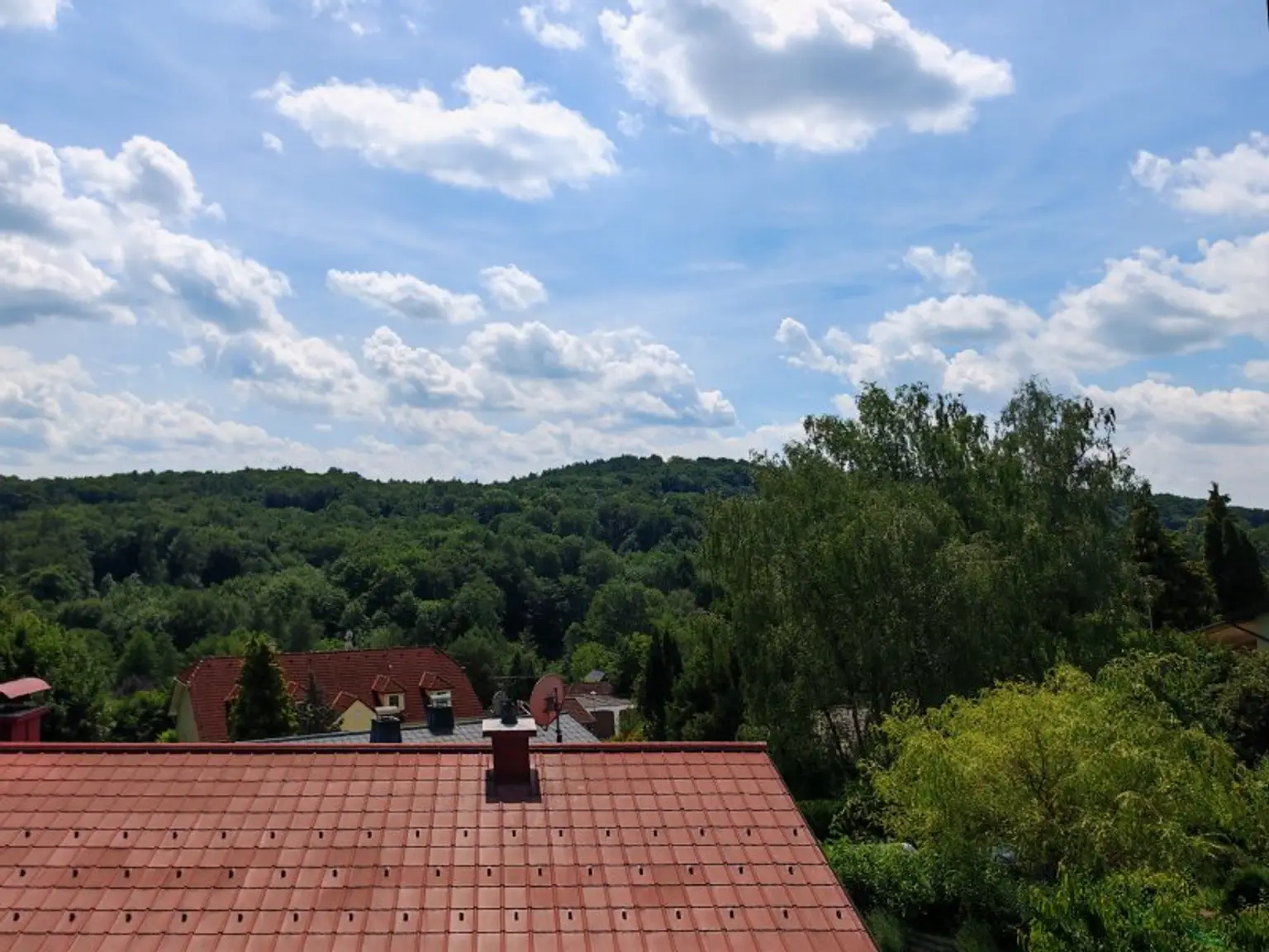 LIEBE AUF DEN ERSTEN BLICK