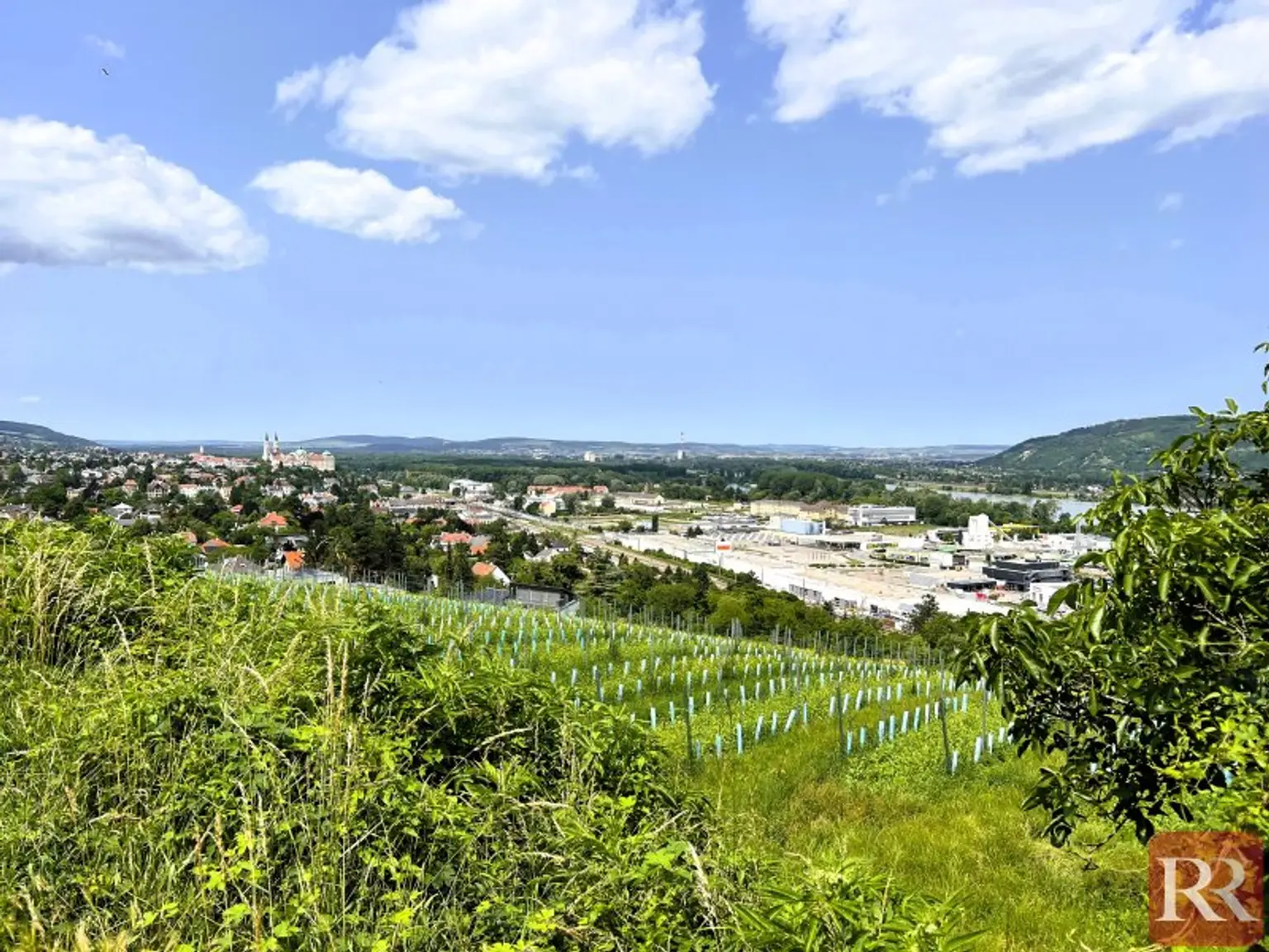 Die Donau im Blick