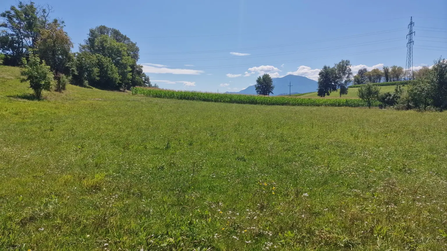Traumhaftes, ca. 3.109 m² großes Baugrundstück mit Blick auf die Karawanken im Bezirk Völkermarkt