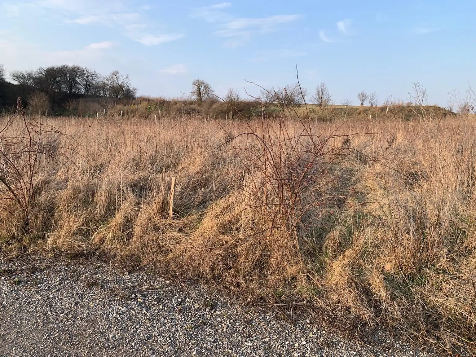 INDUSTRIEGRUNDSTÜCK - 40 Minuten vor Wien