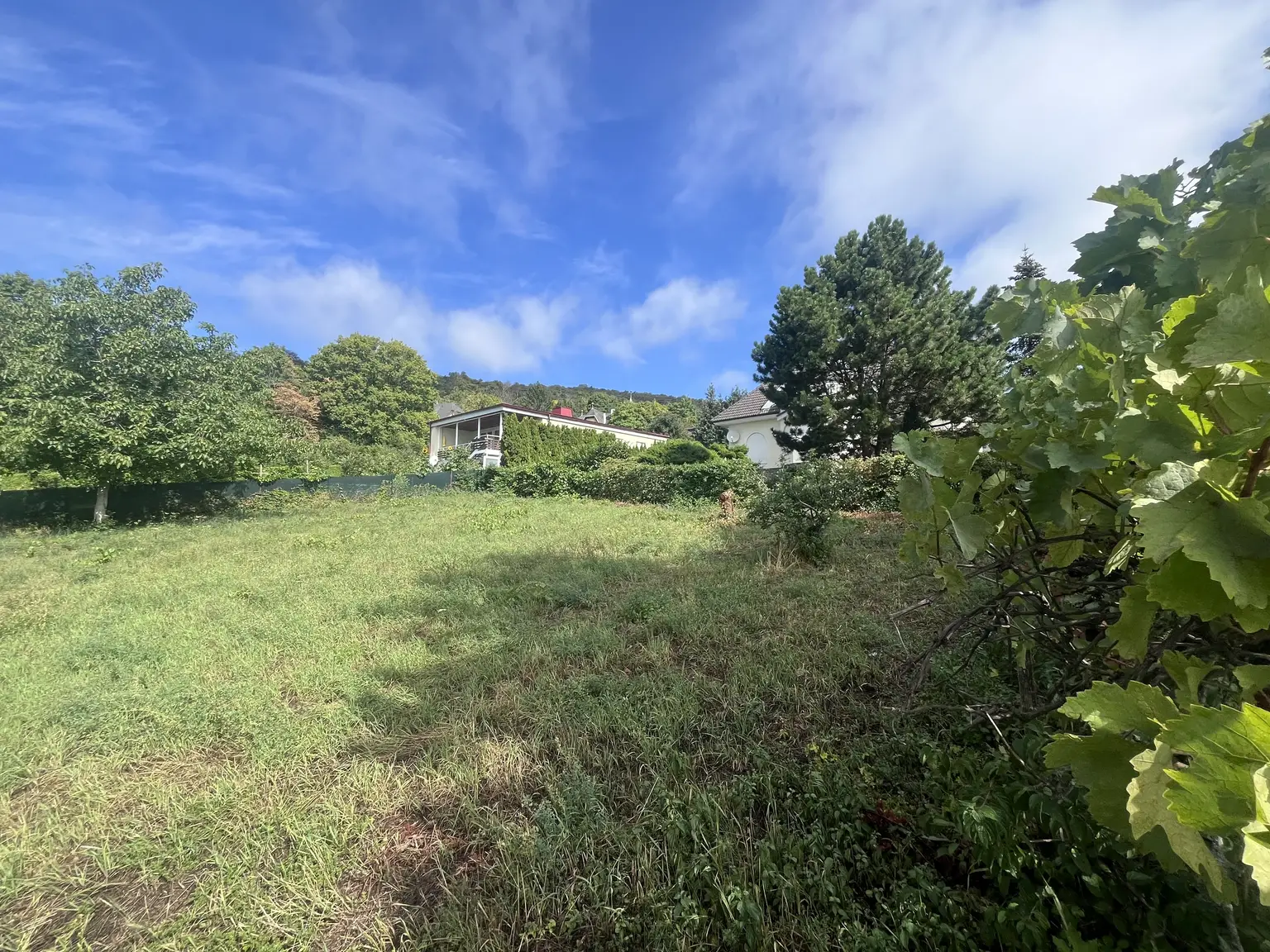Wunderschönes Baugrundstück am Mitterberg