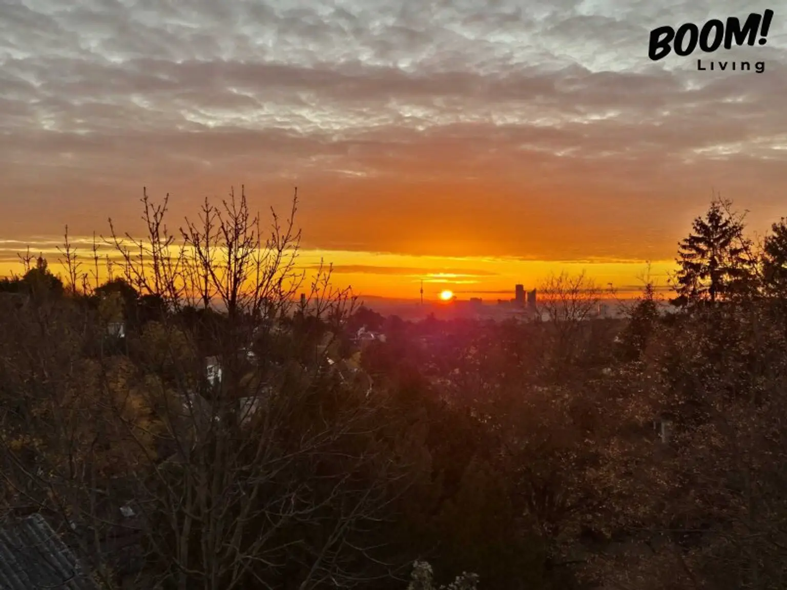 Eagles Nest - Toplage im 19. Bezirk