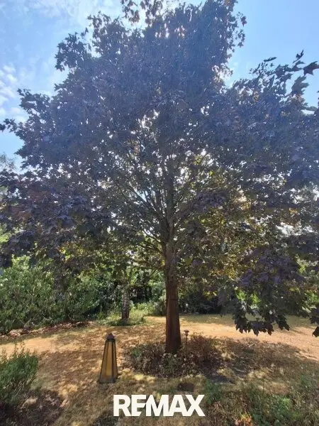 35 Garten mit schattigen Bäumen Strasshof