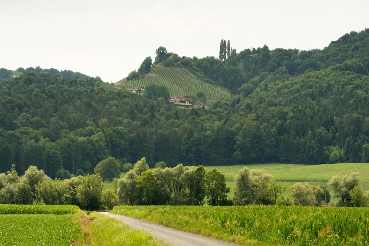 "Privates Paradies mit Panorama – 5 Hektar Freiheit & ein Zuhause zum Verlieben"