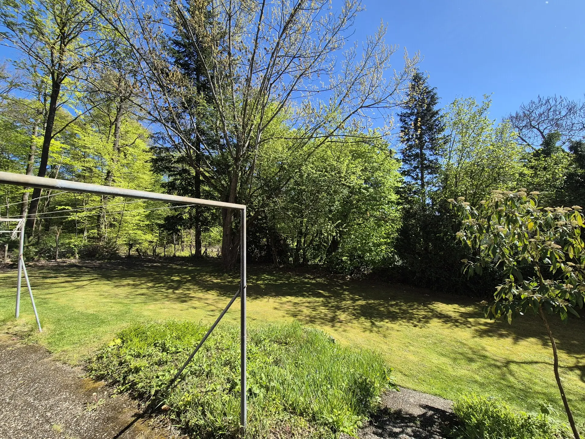Gemeinschaftsgarten Ansicht 2