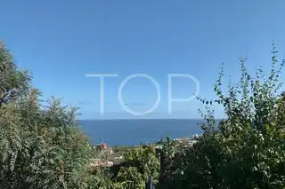 Finca-Puerto-de-la-Cruz-xxx-Teneriffa14