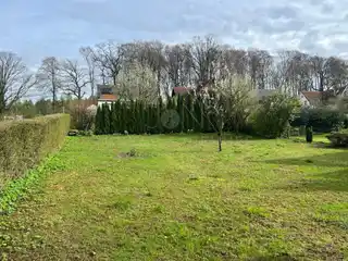 Großer, grüner Garten