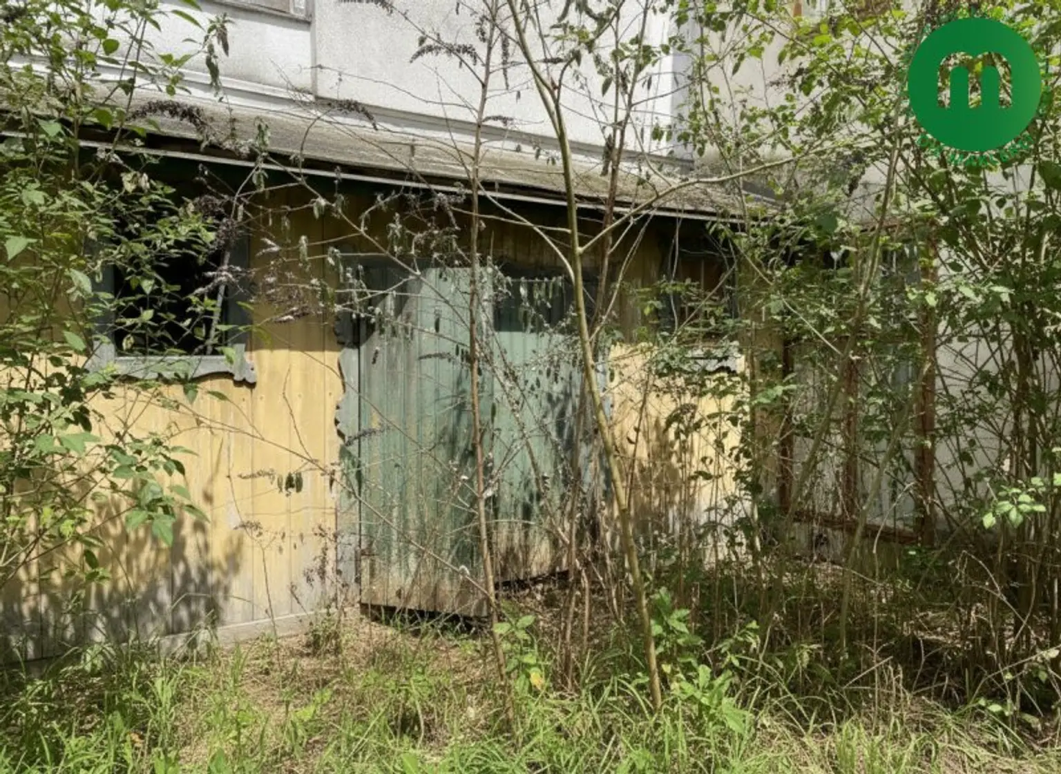 Altbauvilla aus der Jahrhundertwende mit großzügiger Liegenschaft