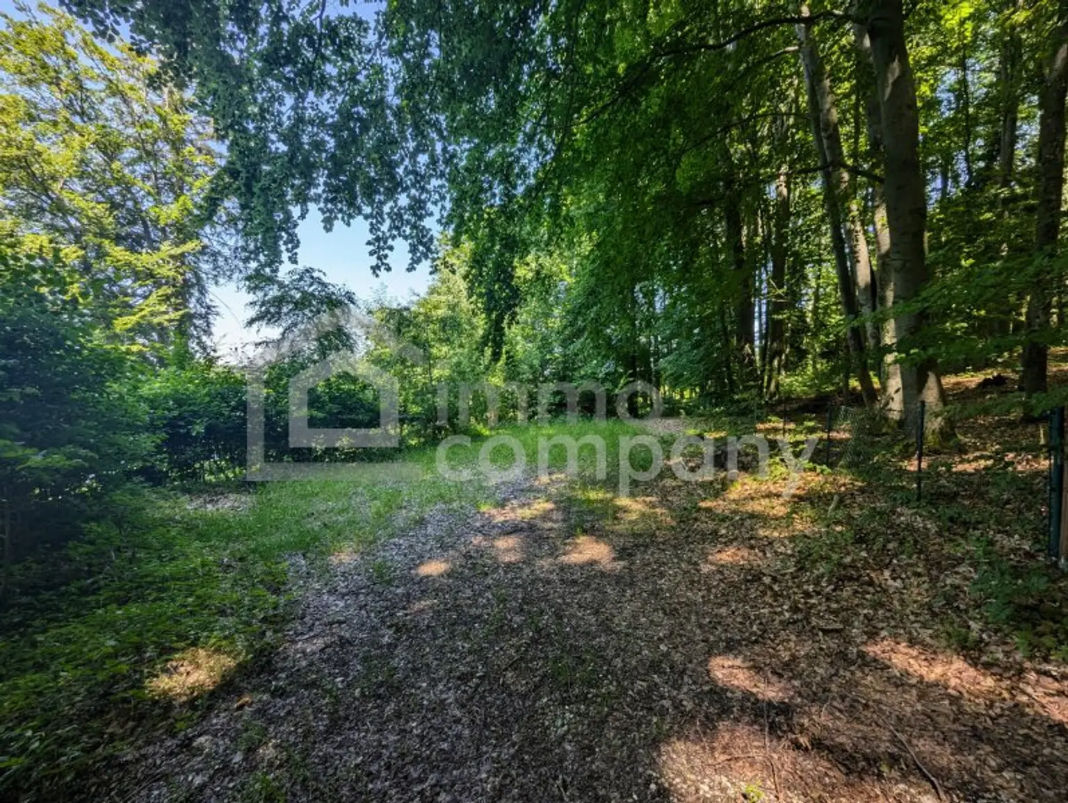 Traumhaftes Seegrundstück in Mattsee - 861m² pure Erholung in Salzburg!