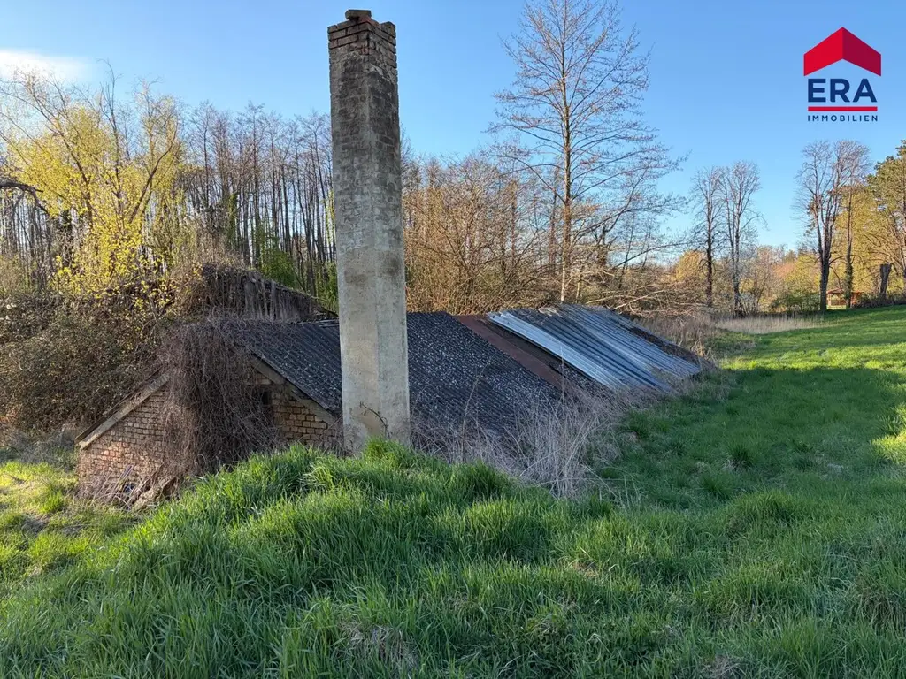 Exklusives Freizeitgrundstück in absoluter Grünruhelage – Natur, Weite & vielfältiges Potenzial in Gaweinstal