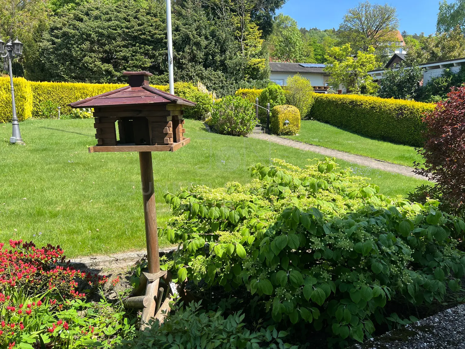 Blick in den Garten