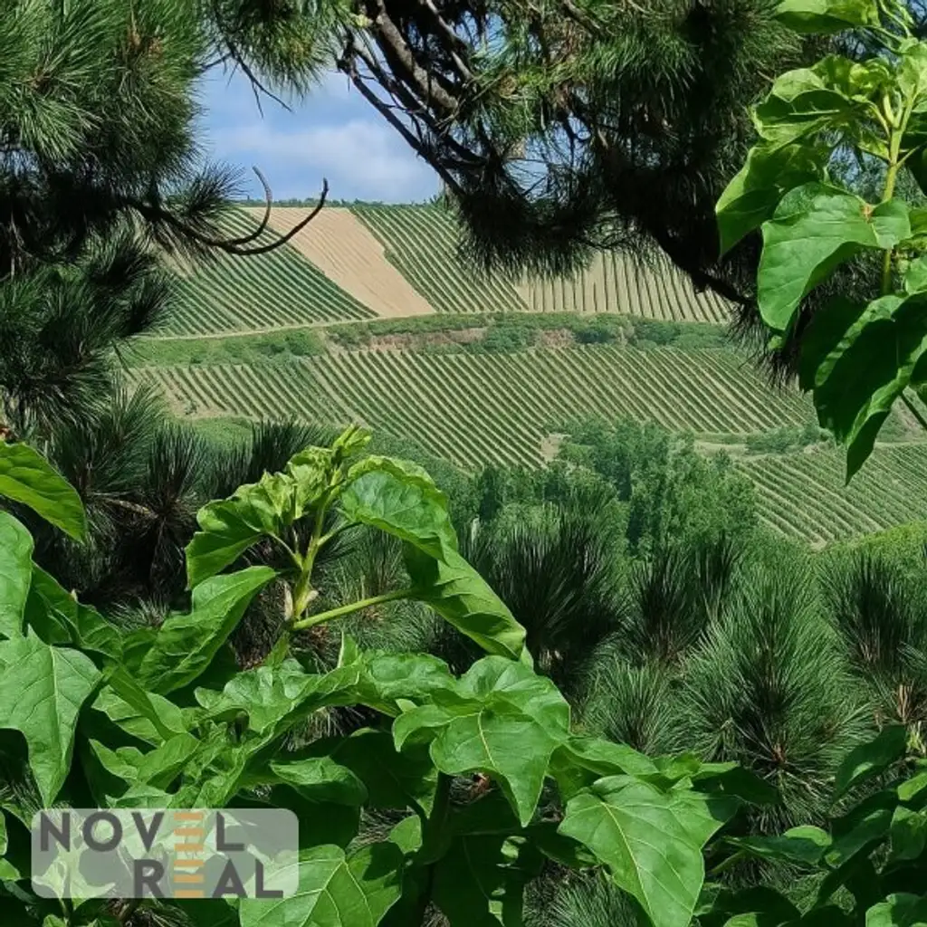 Charmante Eigentumswohnung mit Balkon und Grünblick