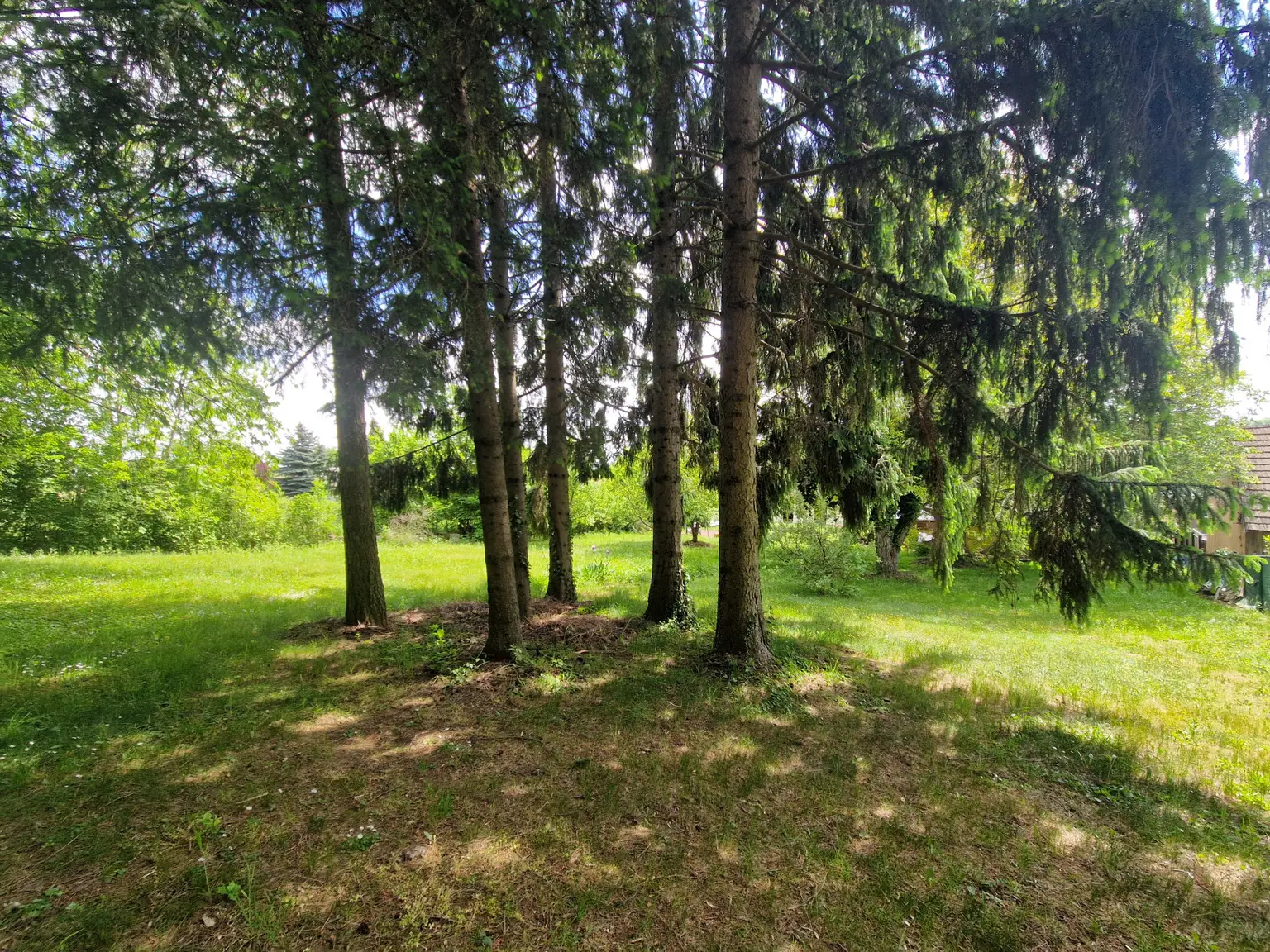Ansicht35
