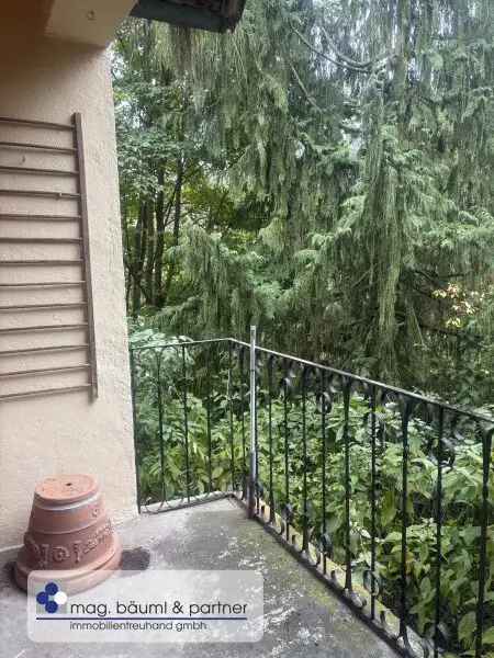 Alleinstehendes  Haus  in einer absolut ruhigen Sackgasse mit Blick auf die  THAYA