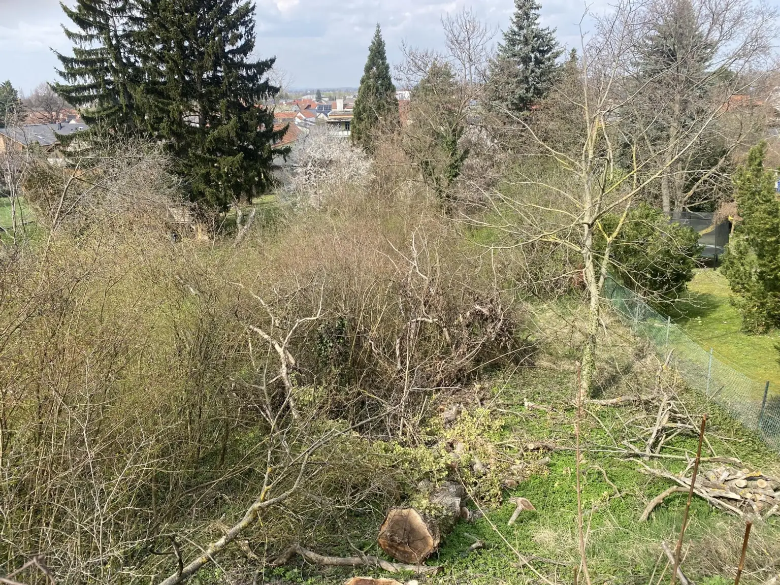 2 Baugrundstück in Königstetten