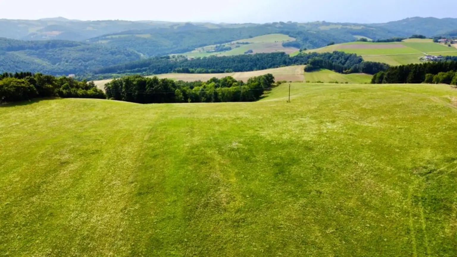 Grundstück mit Baumbestand für landwirtschaftliche Zwecke | 60.053 m² | Schwarzenbach in der Buckligen Welt
