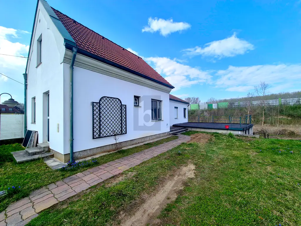 GRÜNBLICK MIT POTENTIAL!