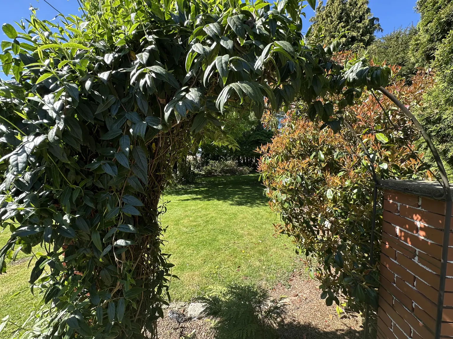 IMG_3718.jpeg