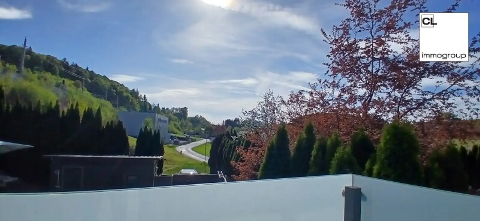 Balkon/Terrasse OG