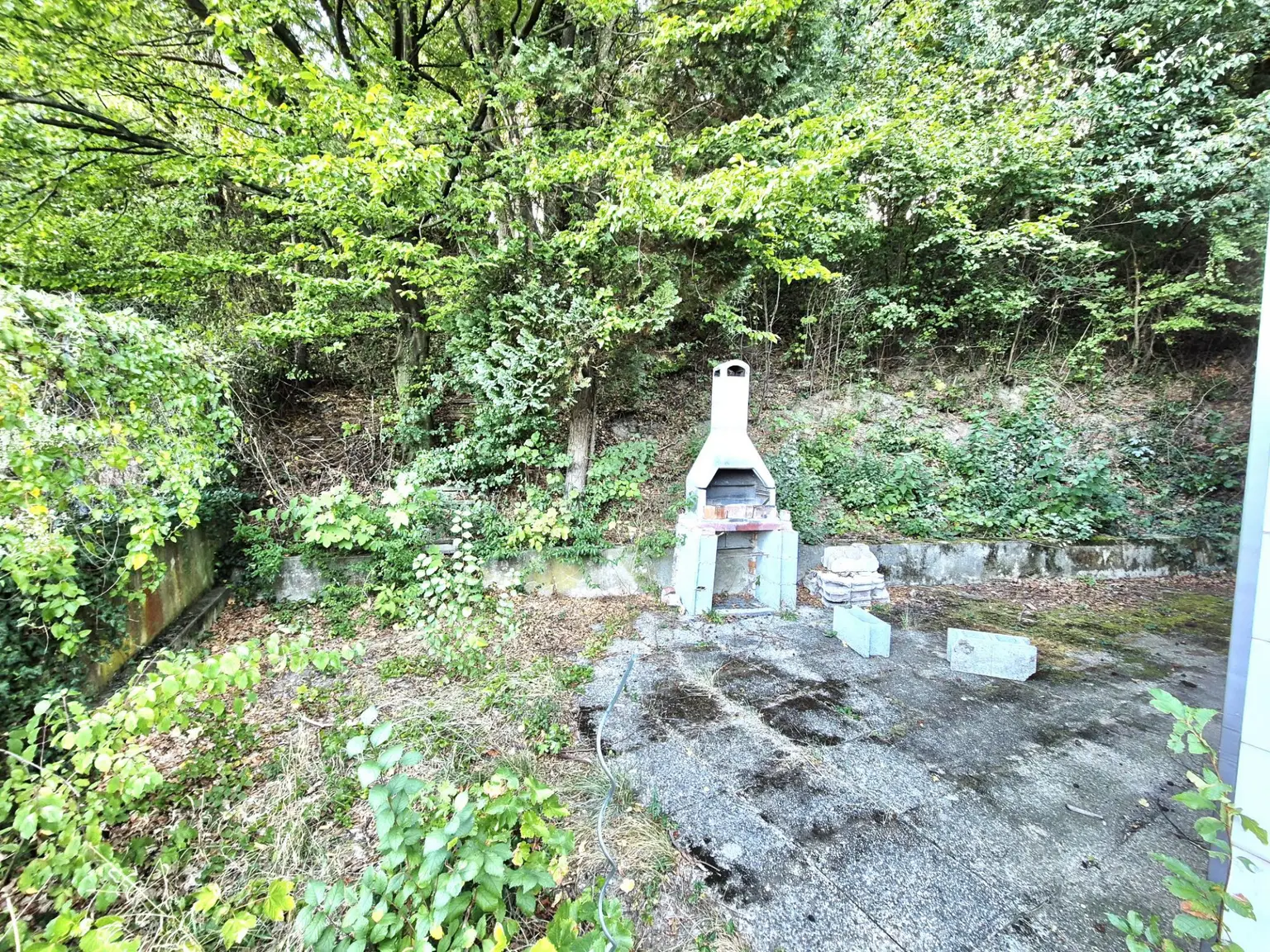 Garten II