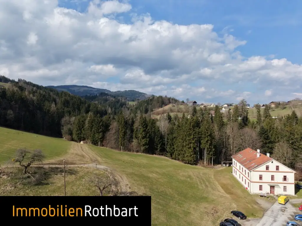 Wald mit Wiese und Zinshaus!