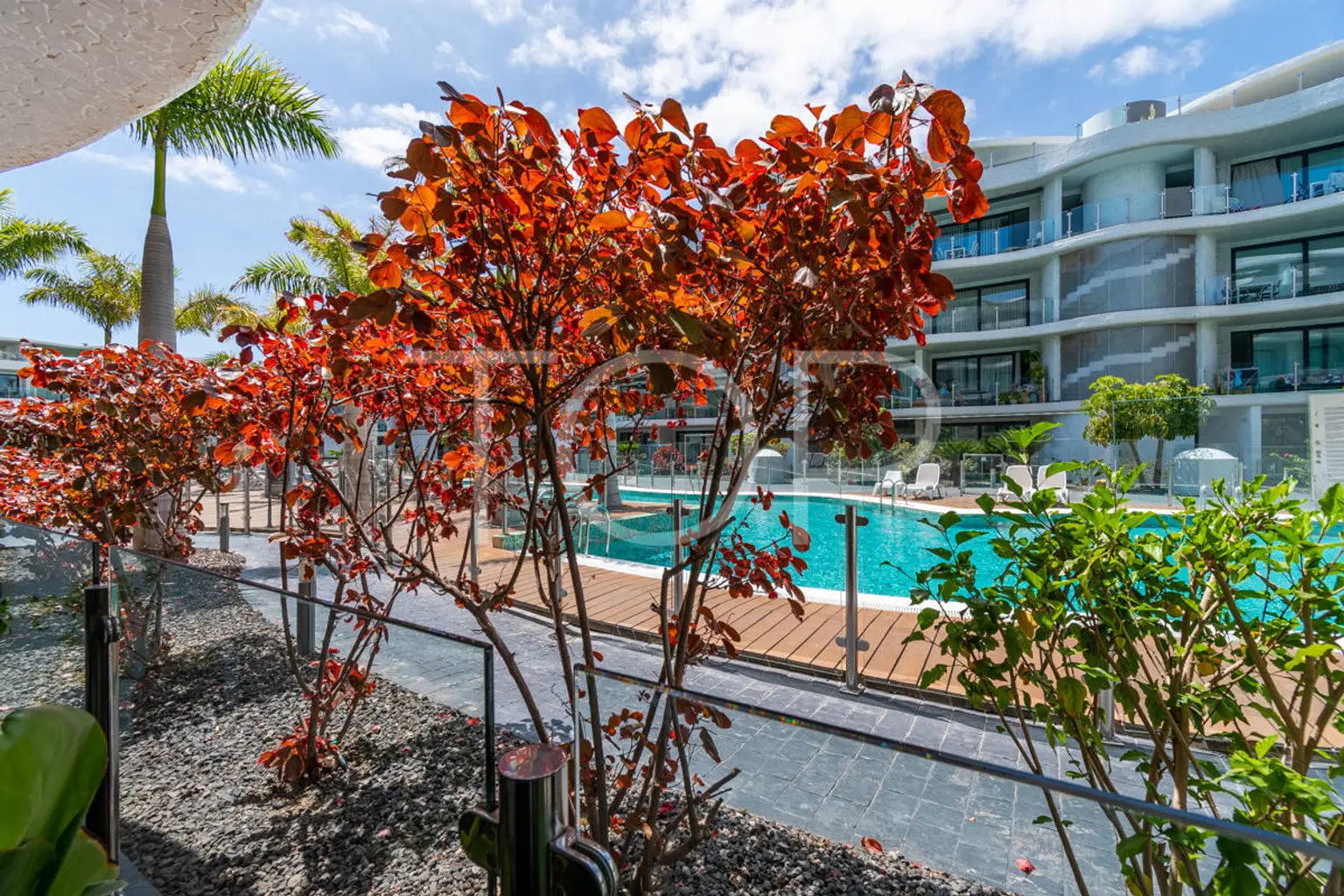 Apartment-Palm-Mar-Las-Olas-Tenerife-Terraza-3