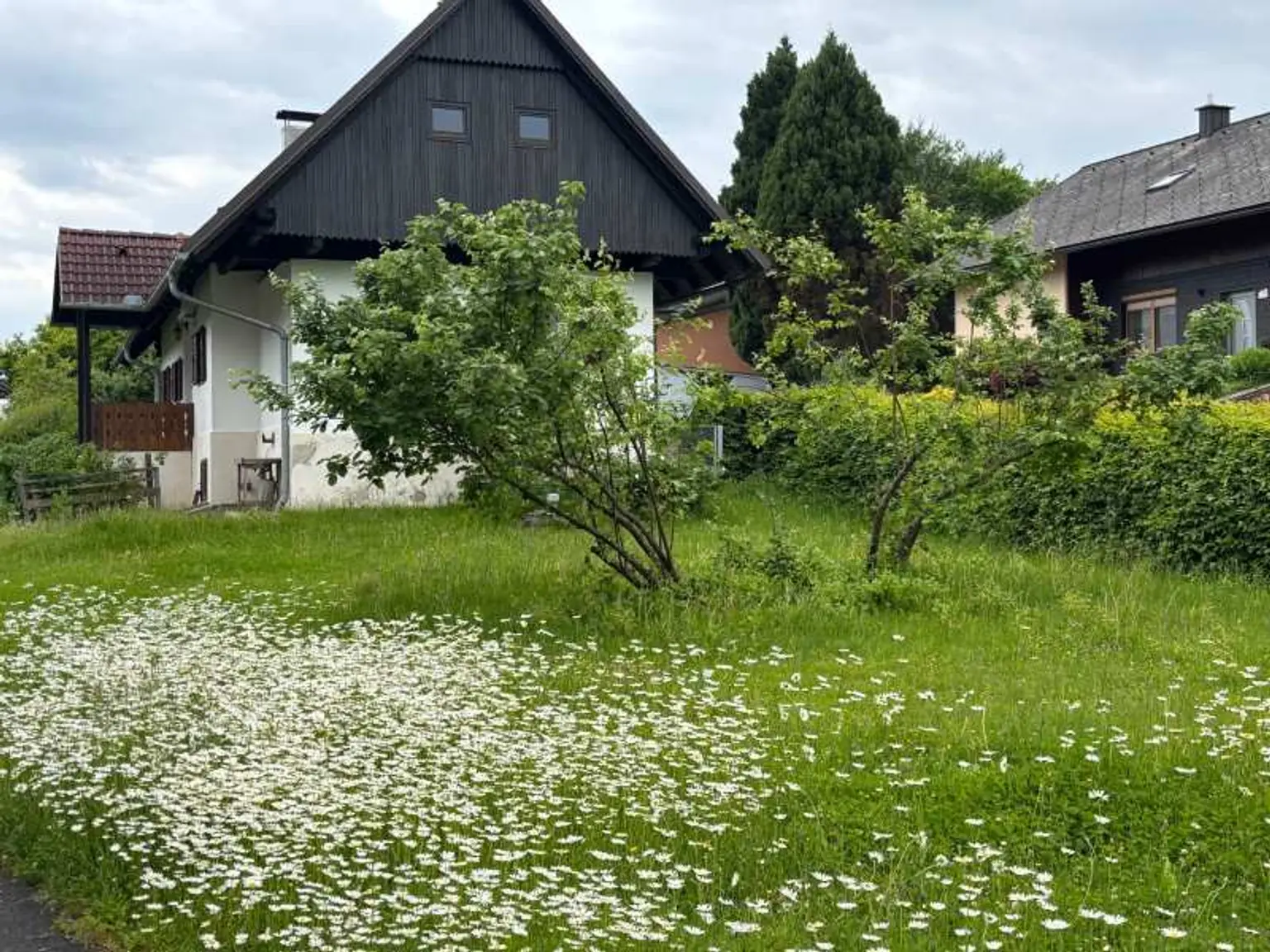 Ansicht West