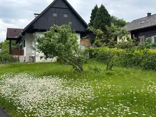 Ansicht West