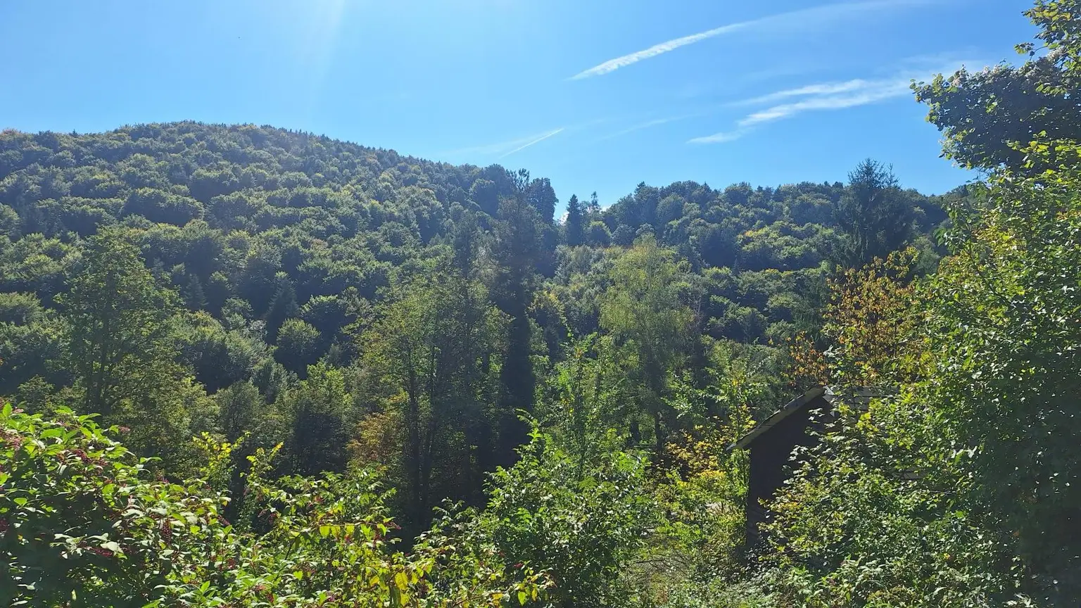 Traumhaftes Baugrundstück in Kranachberg bei Gamlitz – Ihr Platz an der Sonne