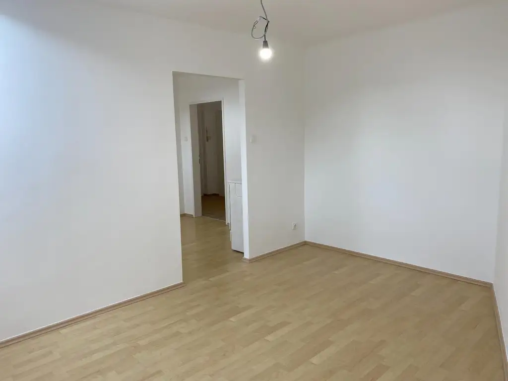 Frisch sanierte DG-Wohnung nahe AKH/U6