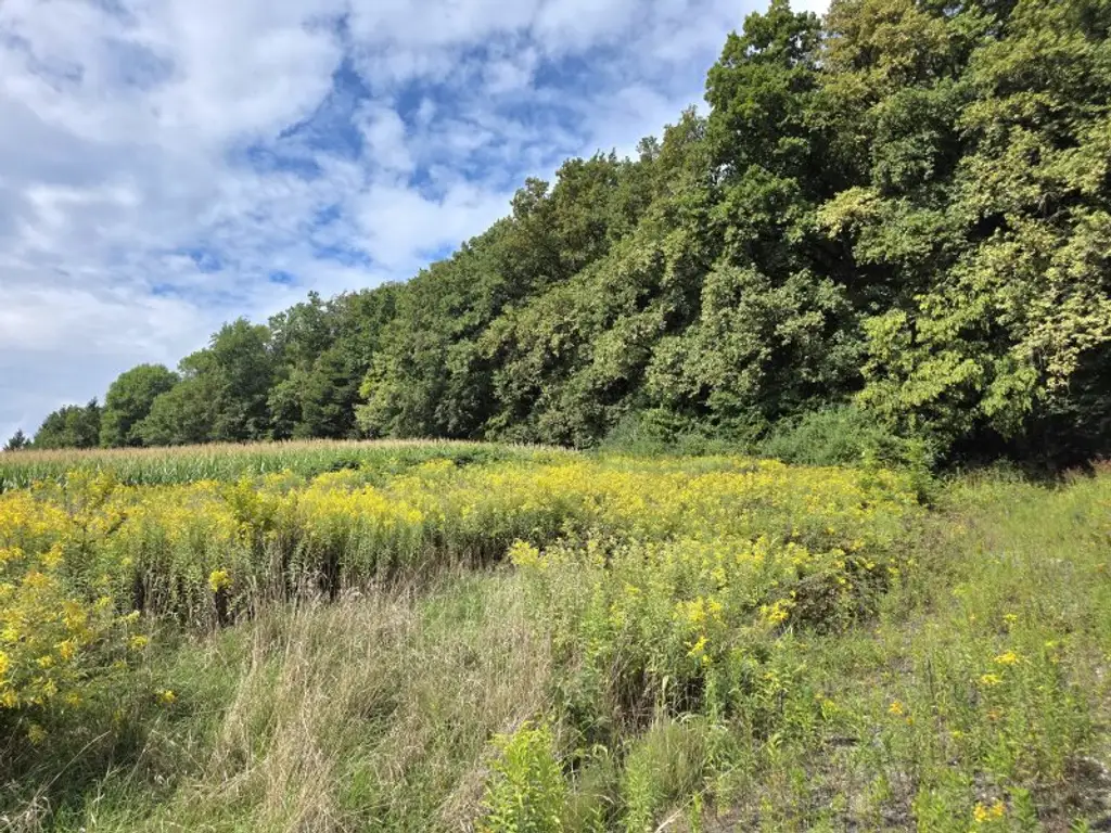 Sonniges Bauland mit Pläne und Baubewilligung!
