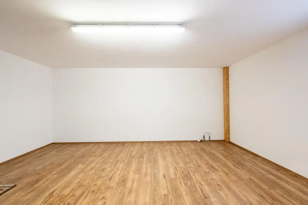 "Where the Alte Donau Becomes Home"