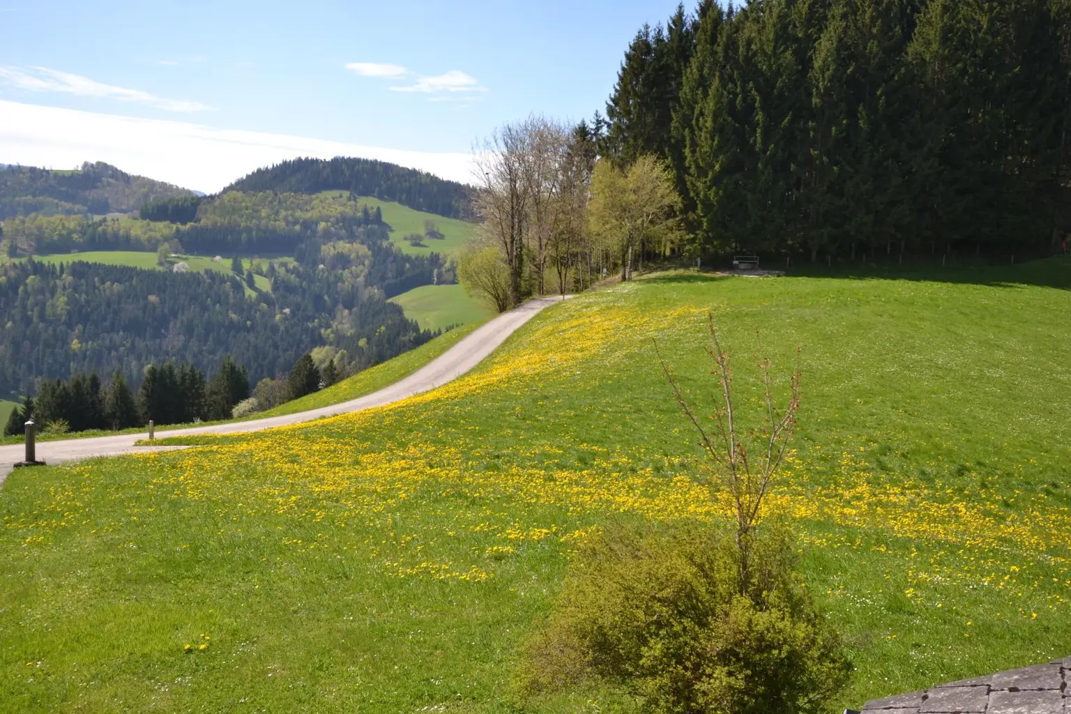 Aussicht