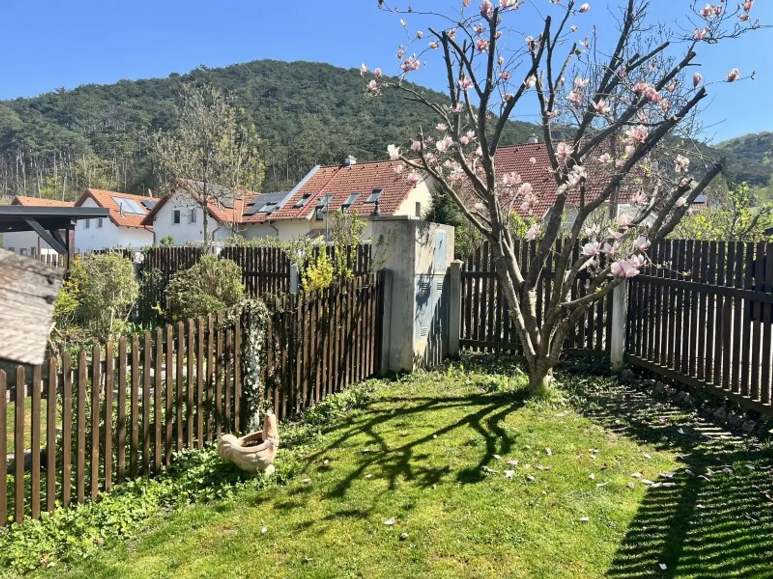 Familienhit mit Charme zum Toppreis (!) - gut geschnittene Doppelhaushälfte mit Garten & Pool in Gaaden