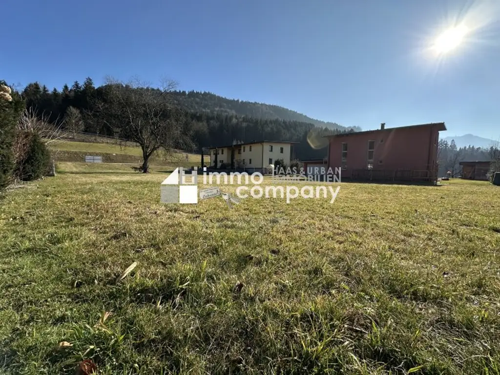 Baugrundstück Göfis, gesamt ca. 1.676 m2, flexible Teilung, zwischen 400 m2 und 800 m2 möglich.